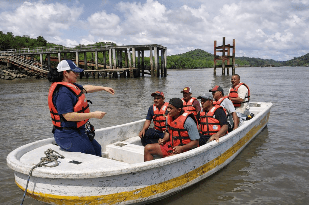 Autoridad Marítima de Panamá reporta incremento en emisión de licencias marítimas para 2025